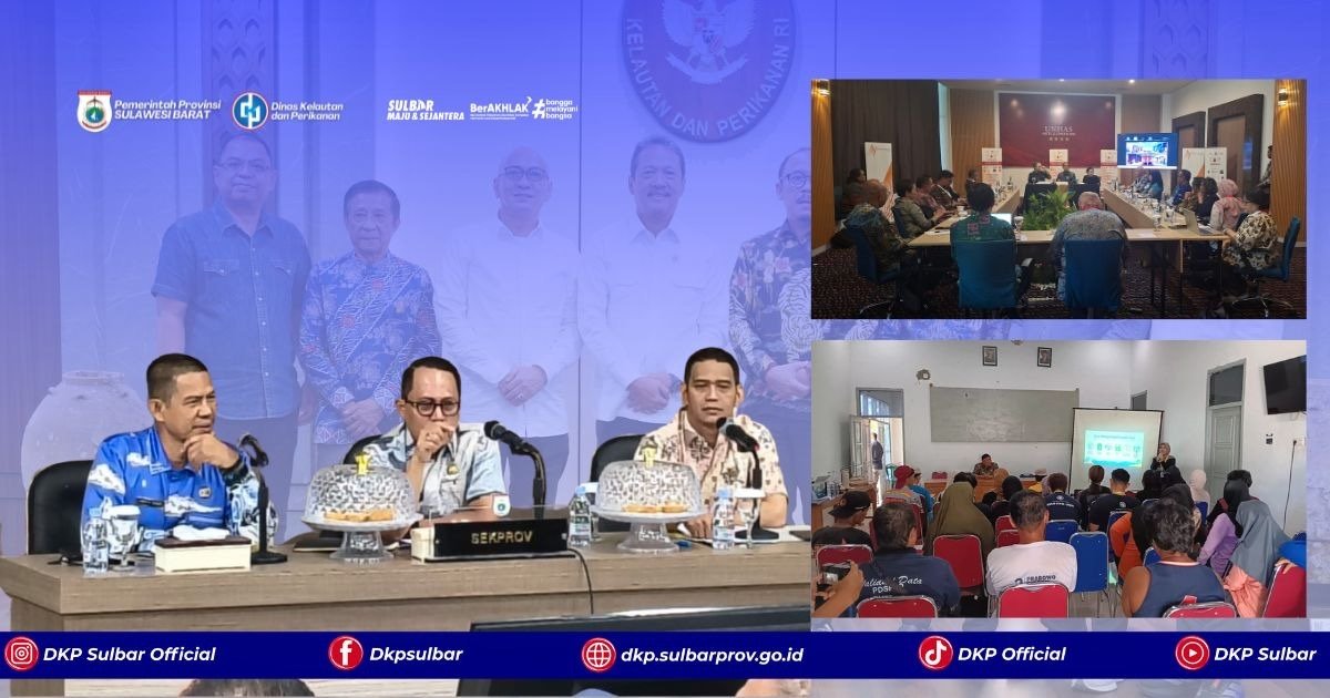 Sepekan Penuh Agenda Strategis, DKP Sulbar Gaspol Perkuat Pembangunan Sektor Kelautan dan Perikanan