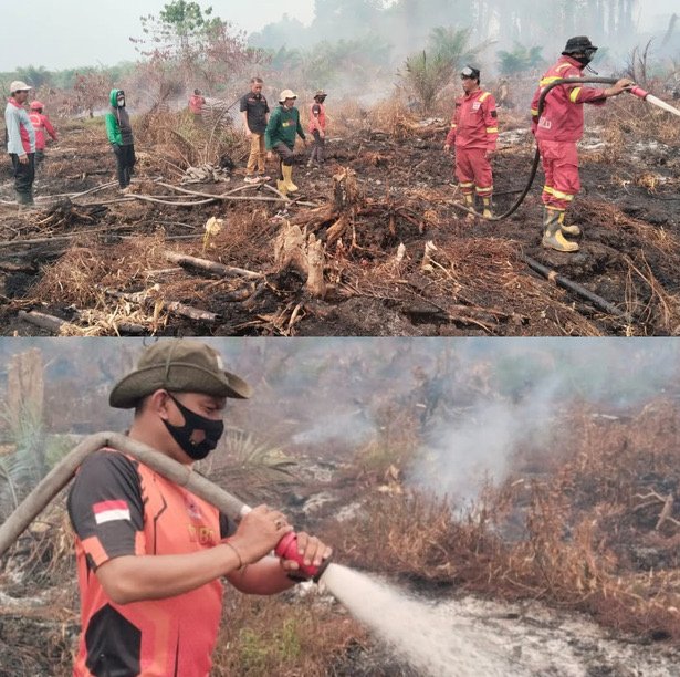 Hari Kedua Penanganan Karhutla di Tommo, TRC BPBD Sulbar dan Tim Gabungan Terus Lakukan Pengendalian